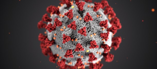 Coronavirus.jpg